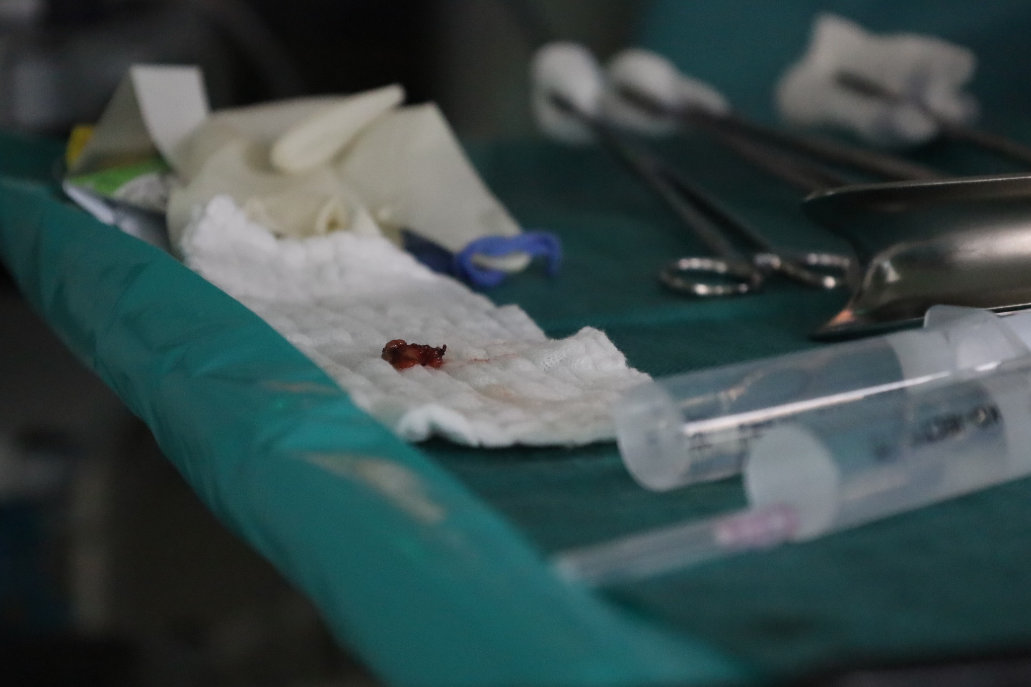 480755602_1053416570163905_7024822321390683095_n