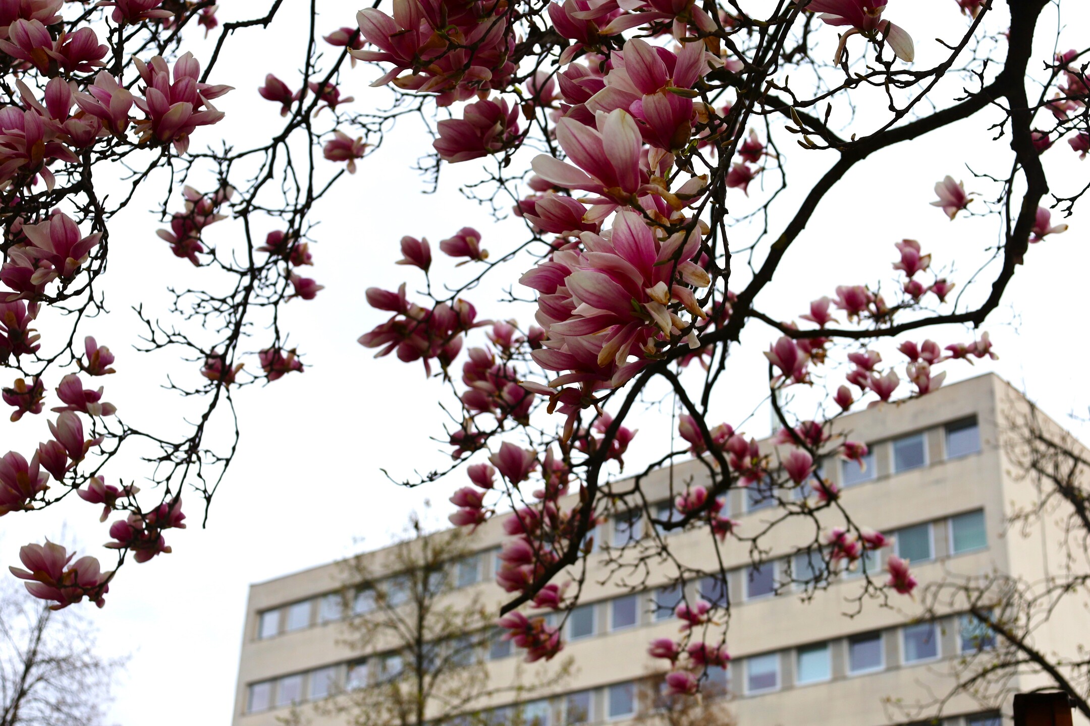 V piatok 8. mája bude žilinská nemocnica poskytovať len akútnu a neodkladnú zdravotnú starostlivosť