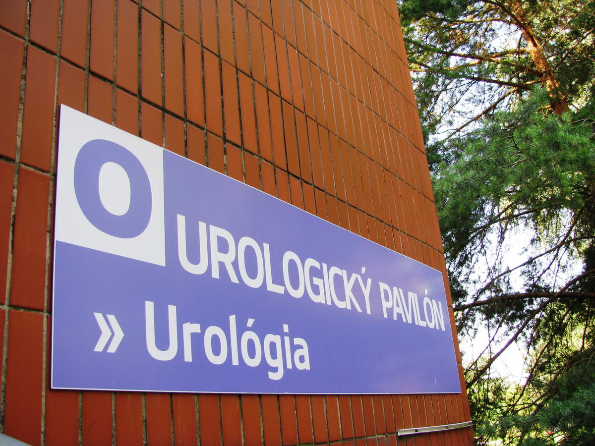 1189 fnsp zaambulanciu najdu pacienti na prizemi pavilonu urologie jpg