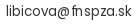 E-mailová adresa